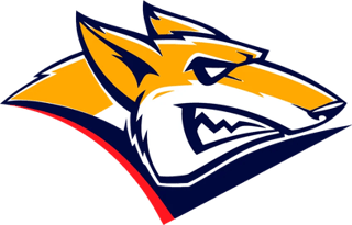 Picture of Metallurg Magnitogorsk
