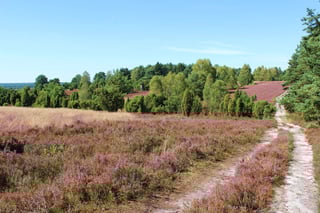 Picture of Unterlüß
