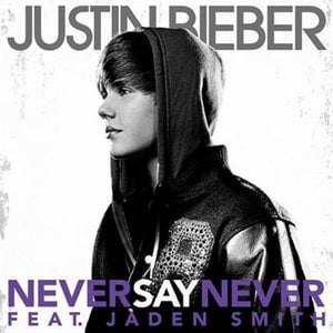 Picture of Never Say Never