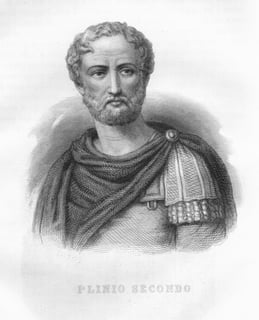 Picture of Pliny the Elder