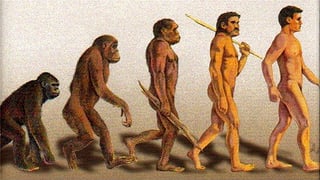 Picture of Upright man