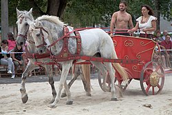 Picture of Chariot