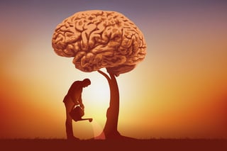 Picture of Wisdom