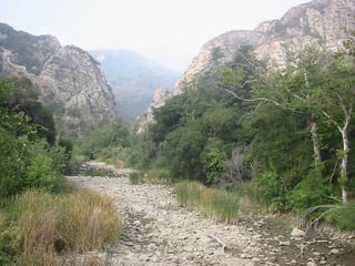 Picture of Malibu Creek