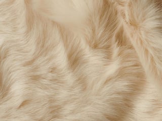 Picture of Fur