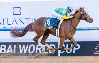 Picture of UAE Derby