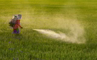 Picture of Pesticide