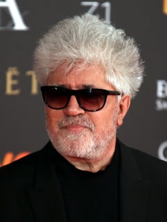 Picture of Pedro Almodóvar