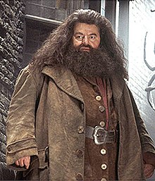 Picture of Rubeus Hagrid