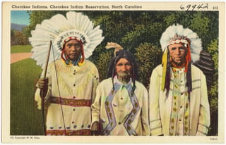 Picture of Cherokee