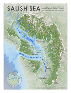 Picture of Salish Sea