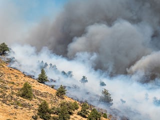 Picture of Air pollution
