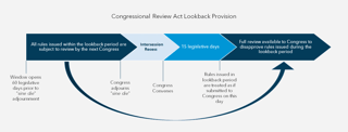 Picture of Congressional Review Act