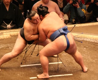 Picture of Sumo