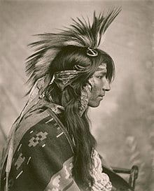 Picture of Cree