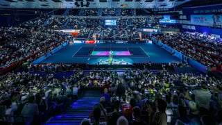 Picture of Vienna Open