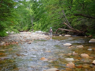 Picture of Swift River