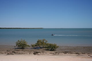 Picture of Karumba