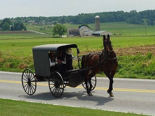 Picture of Amish