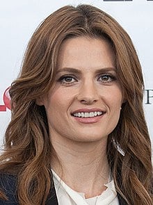 Picture of Stana Katic