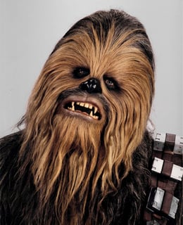 Picture of Chewbacca
