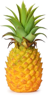 Picture of Pineapple
