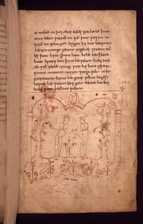 Picture of Genesis B