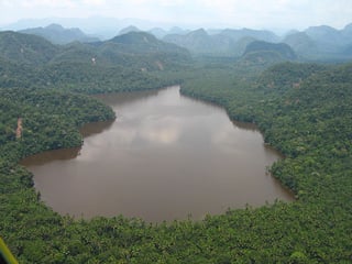 Picture of Cordillera Azul National Park