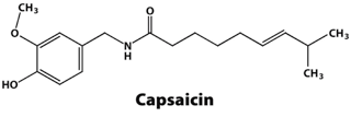 Picture of Capsaicin
