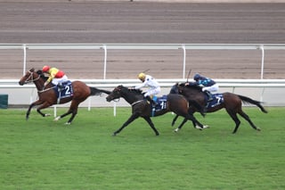 Picture of Hong Kong Mile