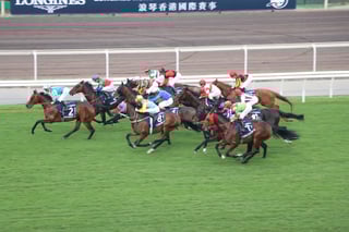 Picture of Hong Kong Cup