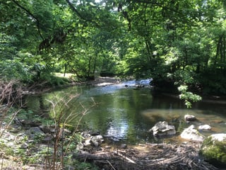 Picture of Pennypack Park