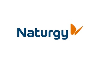 Picture of Naturgy
