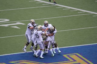 Picture of Touchdown celebration