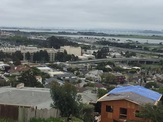 Picture of Albany