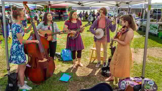 Picture of bluegrass music