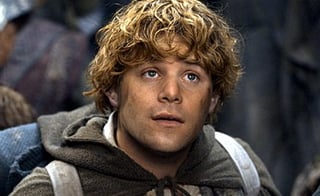 Picture of Samwise Gamgee