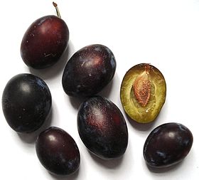 Picture of Prune