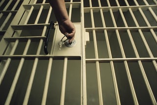 Picture of Imprisonment for public protection