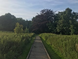 Picture of Wensum Local Nature Reserve