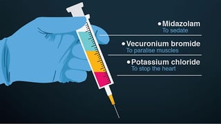 Picture of Lethal injection