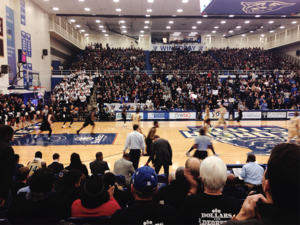 Picture of Georgia State Panthers men's basketball
