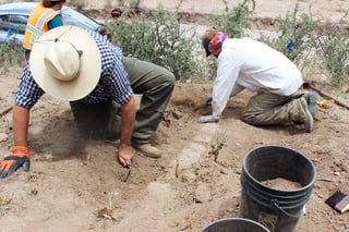 Picture of Archaeology