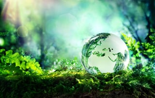 Picture of Sustainability