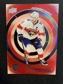 Picture of Aleksander Barkov