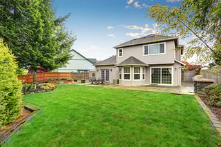 Picture of Backyard