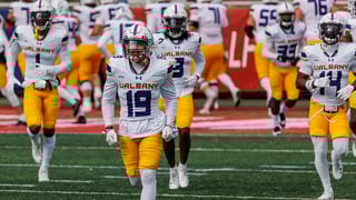 Picture of Albany Great Danes football