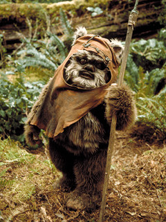 Picture of Ewok