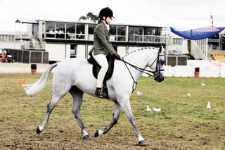 Picture of equestrianism