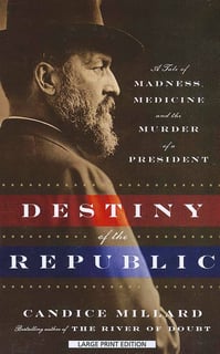 Picture of Destiny of the Republic